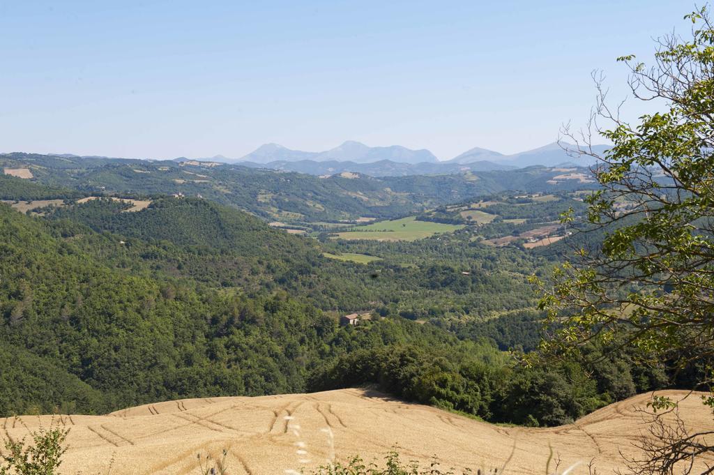 Agriturismo Tenuta Di Biscina Ngoại thất bức ảnh