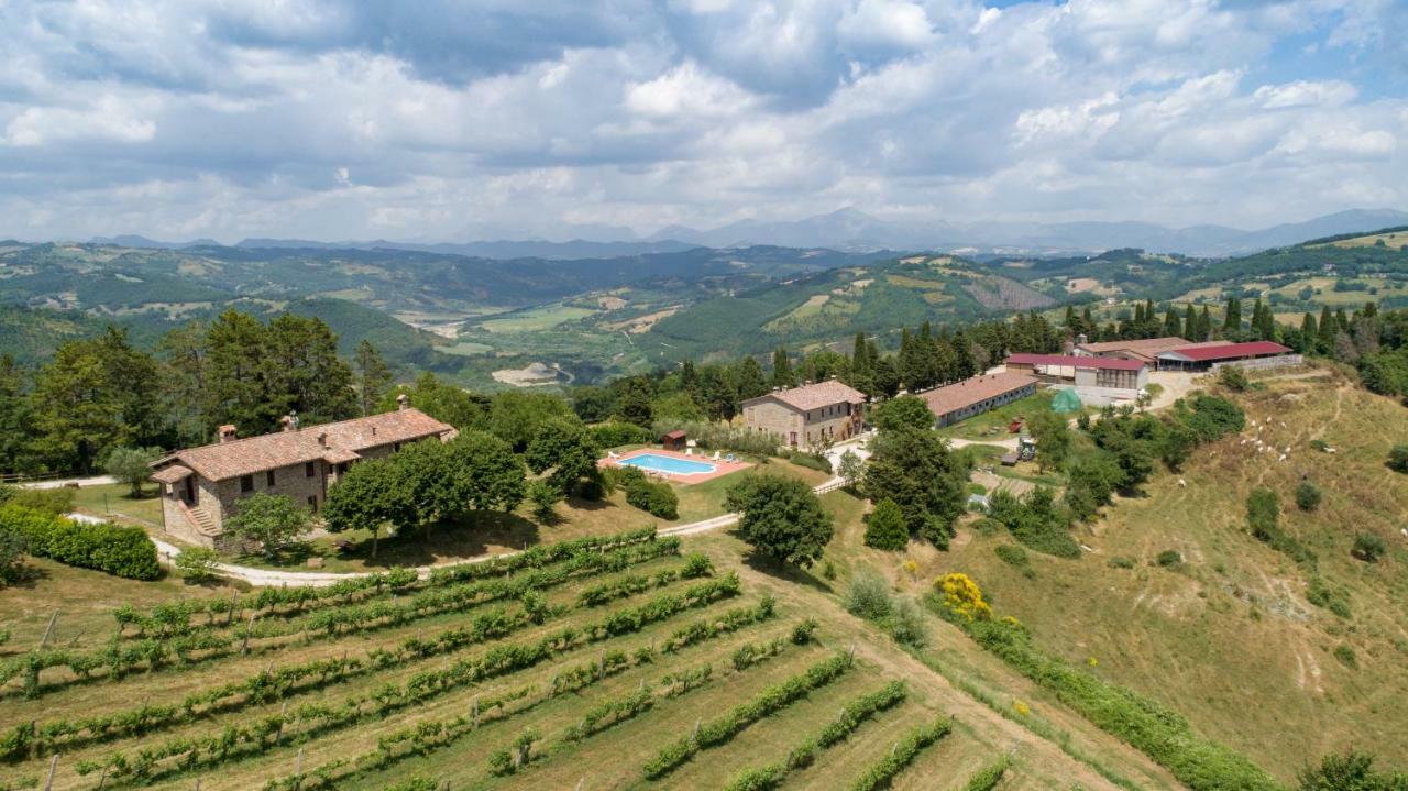 Agriturismo Tenuta Di Biscina Ngoại thất bức ảnh