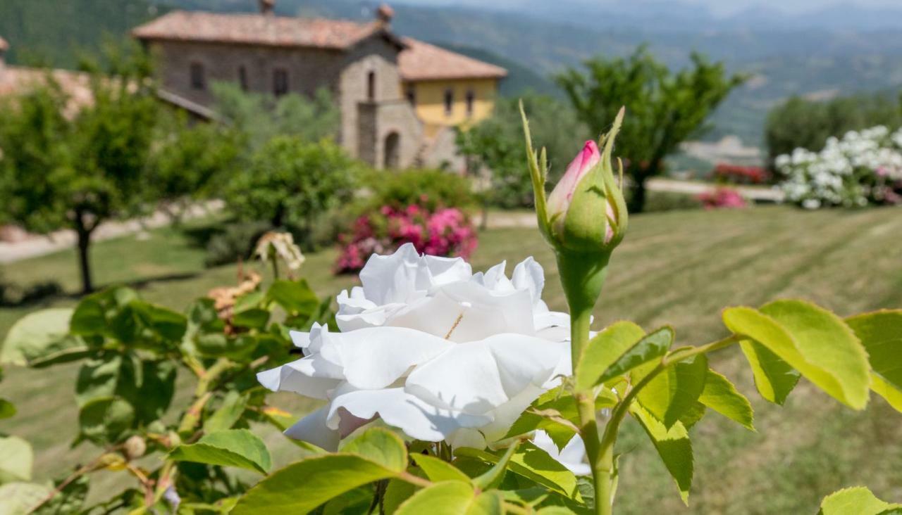 Agriturismo Tenuta Di Biscina Ngoại thất bức ảnh